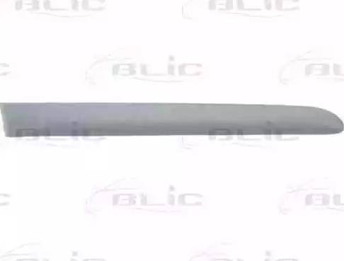 BLIC 5703-04-6032578P - Trim / Protective Strip, wing car-mod.net