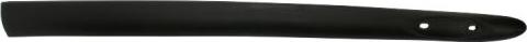 BLIC 5703-04-6032572P - Trim / Protective Strip, door car-mod.net