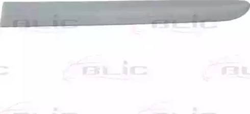 BLIC 5703-04-6032577P - Trim / Protective Strip, wing car-mod.net