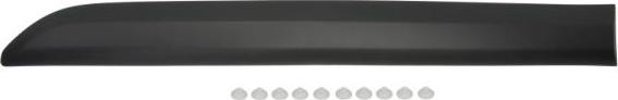 BLIC 5703-04-0559574P - Trim / Protective Strip, door car-mod.net