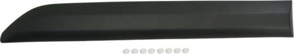 BLIC 5703-04-0559576P - Trim / Protective Strip, door car-mod.net