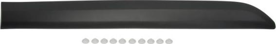 BLIC 5703-04-0559573P - Trim / Protective Strip, door car-mod.net