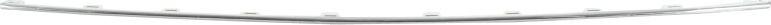 BLIC 5703-05-9569921P - Ventilation Grille, bumper car-mod.net