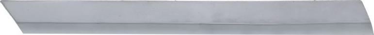 BLIC 5703-05-9579924P - Trim - Protective Strip, bumper car-mod.net