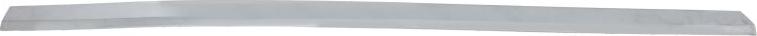 BLIC 5703-05-9579925P - Trim - Protective Strip, bumper car-mod.net