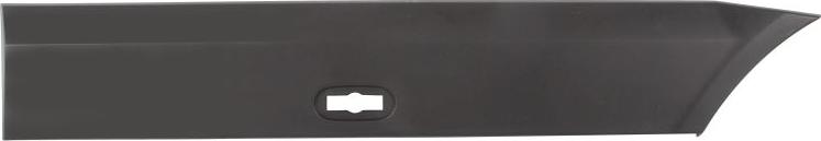 BLIC 5703-06-3547573P - Trim / Protective Strip, wing car-mod.net