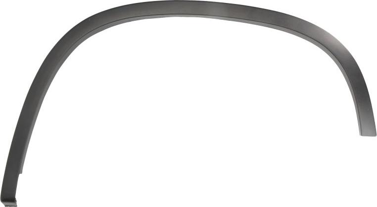 BLIC 5703-08-9548591P - Trim / Protective Strip, wing car-mod.net