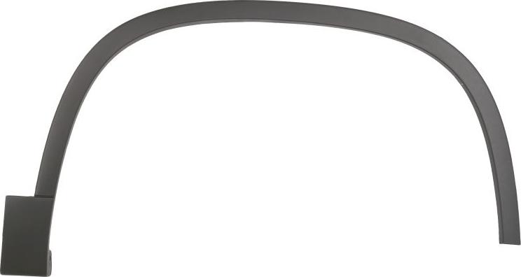 BLIC 5703-08-9548374P - Trim / Protective Strip, wing car-mod.net