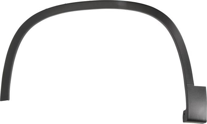 BLIC 5703-08-9548371P - Trim / Protective Strip, wing car-mod.net
