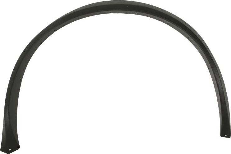 BLIC 5703-08-9520376P - Trim / Protective Strip, wing car-mod.net
