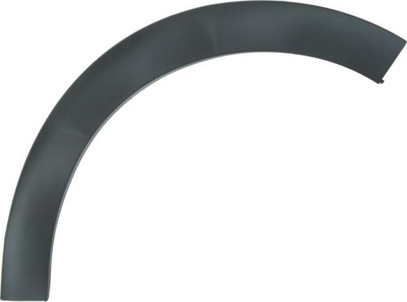 BLIC 5703-08-0532372P - Trim / Protective Strip, wing car-mod.net