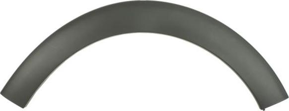 BLIC 5703-08-0532372Q - Trim / Protective Strip, wing car-mod.net
