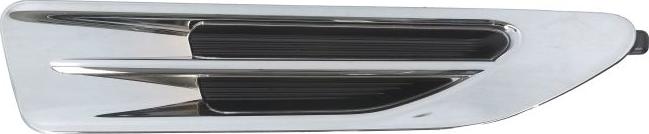 BLIC 5703-08-3222376P - Trim / Protective Strip, wing car-mod.net