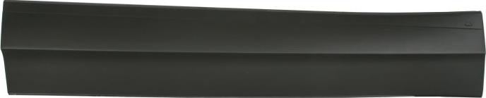 BLIC 5703-02-9588971P - Trim / Protective Strip, door car-mod.net
