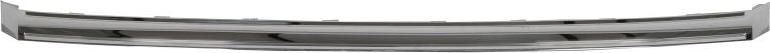 BLIC 6502-07-9565996P - Trim / Protective Strip, radiator grille car-mod.net