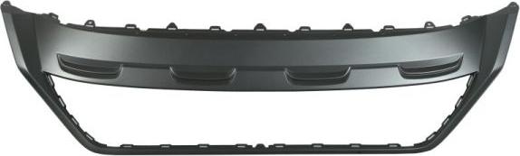 BLIC 6502-07-9565990P - Radiator Grille car-mod.net