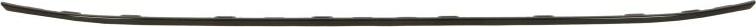 BLIC 6502-07-9588922P - Trim - Protective Strip, bumper car-mod.net
