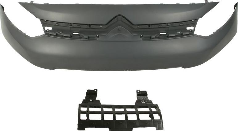 BLIC 6502-07-0559990P - Radiator Grille car-mod.net