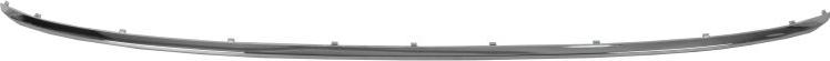 BLIC 6502-07-0030970P - Trim - Protective Strip, bumper car-mod.net