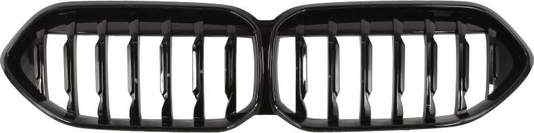 BLIC 6502-07-0073990P - Radiator Grille car-mod.net