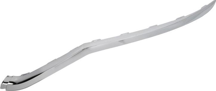 BLIC 6502-07-0395999P - Trim / Protective Strip, radiator grille car-mod.net