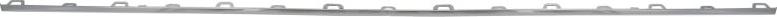 BLIC 6502-07-0395996P - Trim / Protective Strip, radiator grille car-mod.net