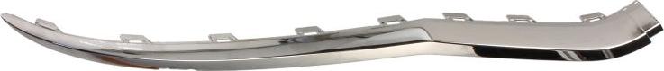 BLIC 6502-07-0395998P - Trim / Protective Strip, radiator grille car-mod.net