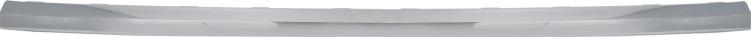 BLIC 6502-07-0395997P - Trim / Protective Strip, radiator grille car-mod.net