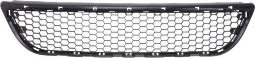 BLIC 6502-07-1301910P - Ventilation Grille, bumper car-mod.net
