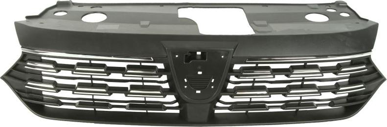 BLIC 6502-07-1307990P - Radiator Grille car-mod.net