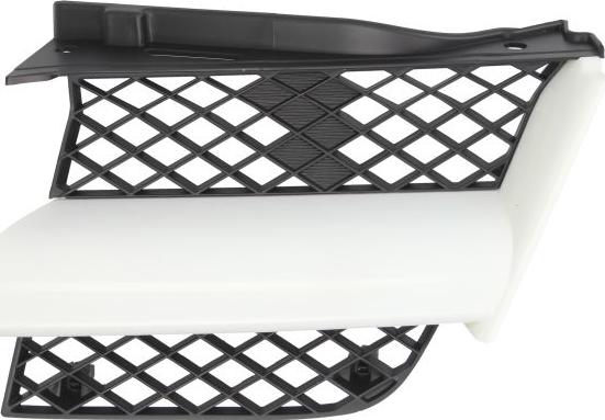 BLIC 6502-07-3749991P - Radiator Grille car-mod.net