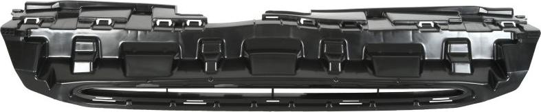 BLIC 6502-07-3712990P - Radiator Grille car-mod.net