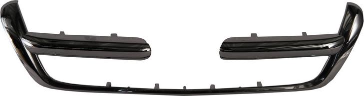 BLIC 6502-07-2956991P - Trim / Protective Strip, radiator grille car-mod.net