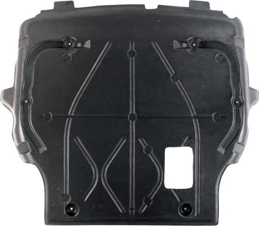 BLIC 6601-02-9568860P - Engine Cover car-mod.net