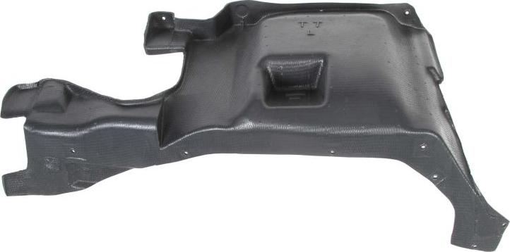 BLIC 6601-02-0020871P - Engine Cover car-mod.net