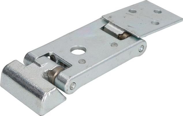 BLIC 6004-00-0284P - Door Hinge car-mod.net