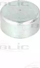 BLIC 6003-00-0005P - Roller Guide, sliding door car-mod.net