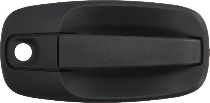 BLIC 6010-09-041410PP - Door Handle car-mod.net