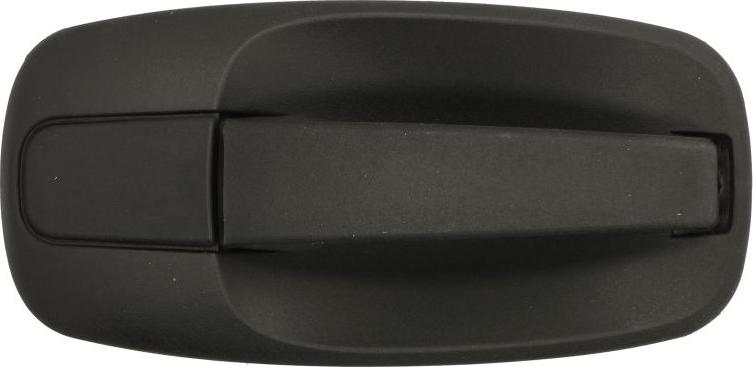 BLIC 6010-09-041410P - Door Handle car-mod.net