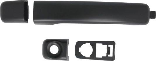 BLIC 6010-09-1224401P - Door Handle car-mod.net