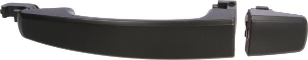 BLIC 6010-04-048402P - Door Handle car-mod.net