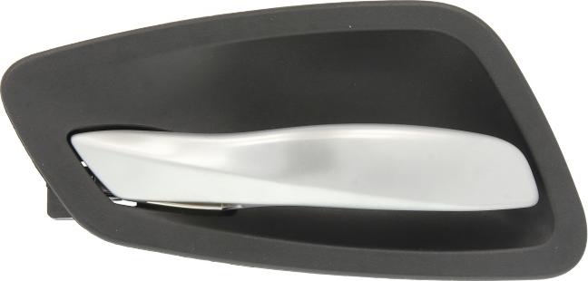 BLIC 6010-05-021409P - Door Handle car-mod.net