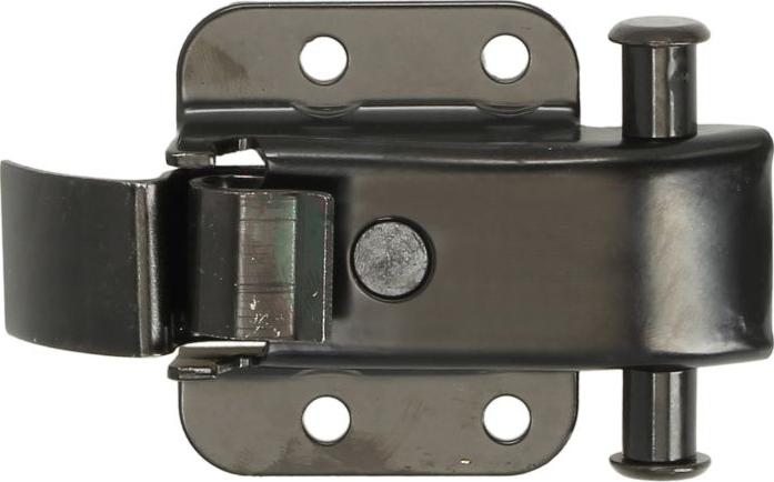 BLIC 6010-01-047431T - Door Catch car-mod.net