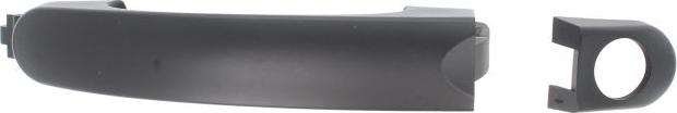 BLIC 6010-01-039402P - Door Handle car-mod.net