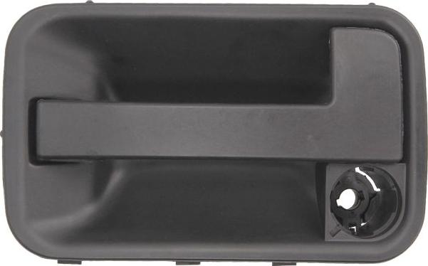 BLIC 6010-08-002401P - Door Handle car-mod.net