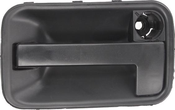 BLIC 6010-08-002410P - Door Handle car-mod.net