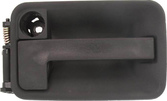 BLIC 6010-08-002417P - Door Handle car-mod.net
