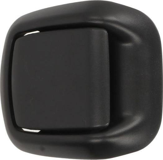 BLIC 6010-03-046408C - Door Handle car-mod.net