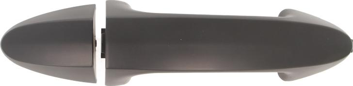 BLIC 6010-03-046402P - Door Handle car-mod.net