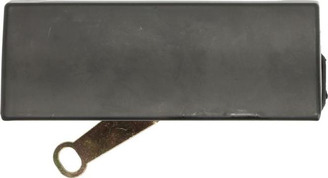 BLIC 6010-03-024417P - Door Handle car-mod.net